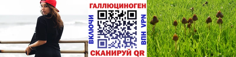 Купить закладки  Первомайск  Галлюциногенные грибы MAGIC MUSHROOMS 